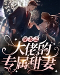 穿书之大佬的专属甜妻