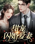 甜宠闪婚爱妻