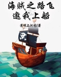 海贼之路飞邀我上船
