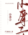 小聋子受决定摆烂任宠