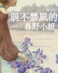 弱不禁风的春野小姐