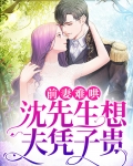 前妻难哄，沈先生想夫凭子贵