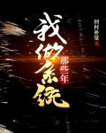 我做系统那些年