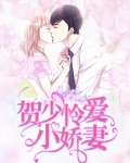 贺少怜爱小娇妻