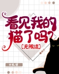 看见我的猫了吗？[无限流]