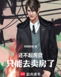 还不起房贷,只能去卖房了
