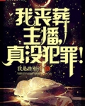 我丧葬主播,真没有犯罪!
