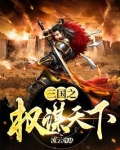 三国之权谋天下