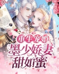 重生宠婚：墨少娇妻甜如蜜