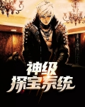 神级探宝系统