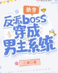 快穿:反派boss穿成男主系统