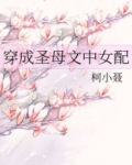 穿成圣母文中女配