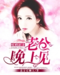 暖婚新妻,老公晚上见