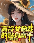 高冷女总裁的贴身高手