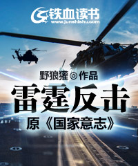 雷霆反击(原《国家意志》)