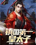 镇国第一皇太子