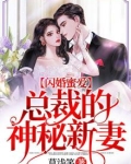 闪婚蜜爱:总裁的神秘新妻