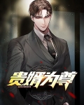 贵婿为尊