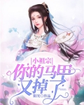 小祖宗，你的马甲又掉了