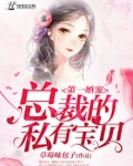 第一婚宠：总裁的私有宝贝