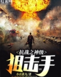 抗战之神级狙击手