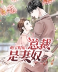 萌宝赐福:总裁是妻奴