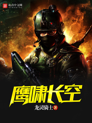 鹰啸长空 小说