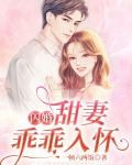 闪婚:甜妻乖乖入怀