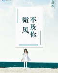 微风不及你