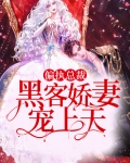 偏执总裁，黑客娇妻宠上天
