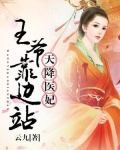 天降医妃,王爷靠边站