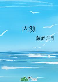 内测