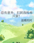 总有意外，打扰我科举兴家！
