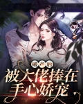 破产后被大佬捧在手心娇宠