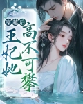 穿越后，王妃她高不可攀