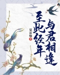 至此经年,与君相逢