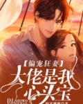 偏宠狂妻:大佬是我心头宝