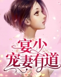 宴少宠妻有道