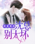 娇妻难逃:沈总别太坏