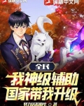 全民:我神级辅助,国家带我升级