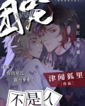 团宠是鱼不是人