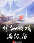 修仙游戏满级后