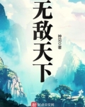 无敌天下