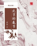 北京的春节(精品公版)