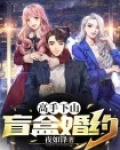高手下山:盲盒婚约