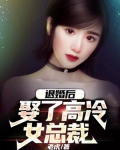 退婚后,娶了高冷女总裁