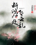 断鸿归处飞云乱