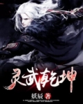 灵武乾坤