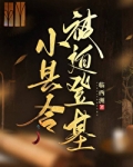 小县令被迫登基(基建)