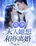 莫少，夫人她想和你离婚